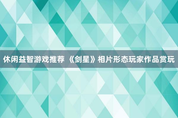 休闲益智游戏推荐 《剑星》相片形态玩家作品赏玩