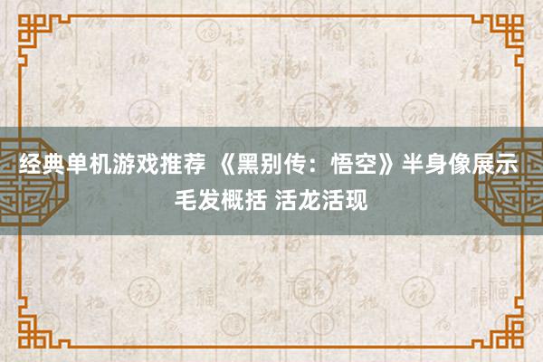 经典单机游戏推荐 《黑别传：悟空》半身像展示 毛发概括 活龙活现