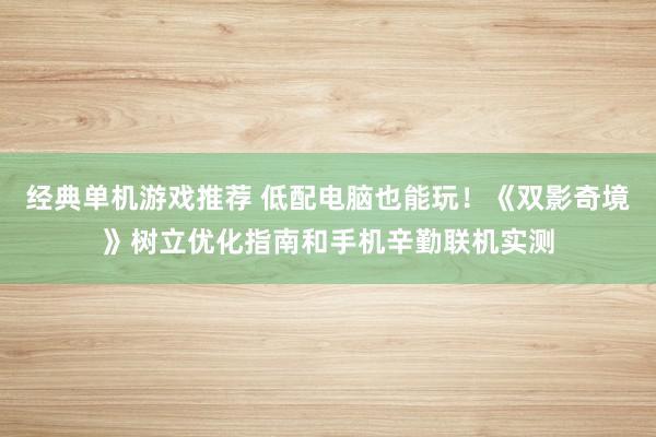 经典单机游戏推荐 低配电脑也能玩！《双影奇境》树立优化指南和手机辛勤联机实测